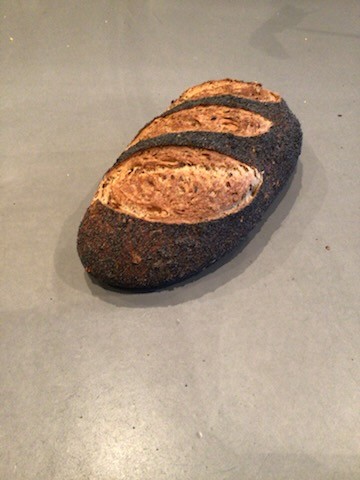 Langtidshævet - Stenalderbrød